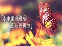 义乌市汀屹电子商务商行