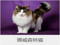 义乌市汀屹电子商务商行