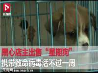 义乌市汀屹电子商务商行