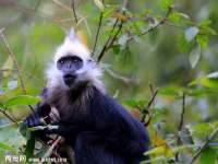 义乌市汀屹电子商务商行