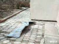 义乌市汀屹电子商务商行