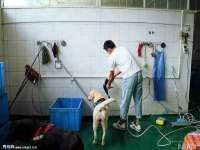 义乌市汀屹电子商务商行