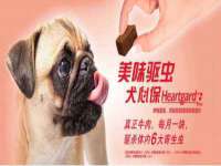 义乌市汀屹电子商务商行
