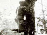 义乌市汀屹电子商务商行
