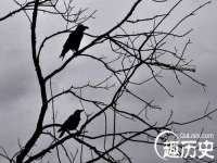 义乌市汀屹电子商务商行