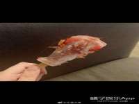 义乌市汀屹电子商务商行